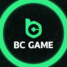 Exploring the Pakistan BC.Game App A New Era of Online Gaming
